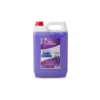 Royal Compact Floor Cleaner 5L - Image 2