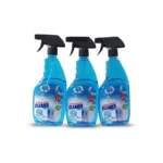 Royal Compact Glass Cleaner
