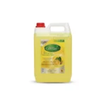 Royal Compact Hand Wash 5L